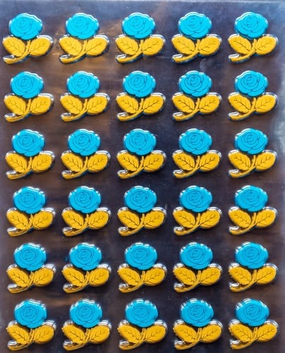 ترانسفير -أشكال