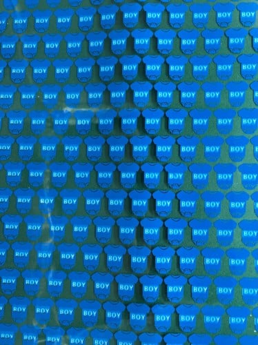 ترانسفير - مواليد