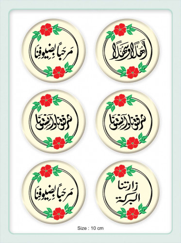 ترانسفير -الاستقبال والترحيب