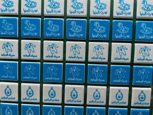 ترانسفير - مواليد