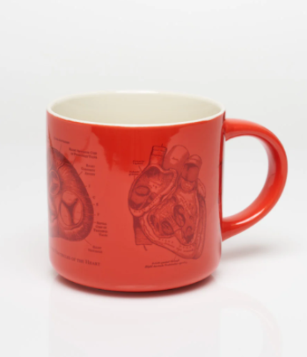 Heart Anatomy Ceramic Mug