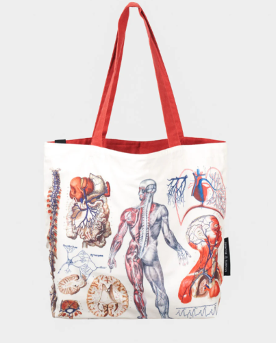 Human Anatomy bag