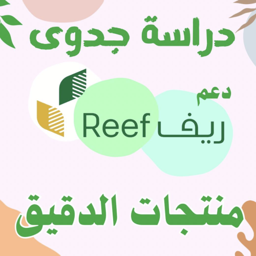 دراسه جدوئ دعم ريف (الدقيق)