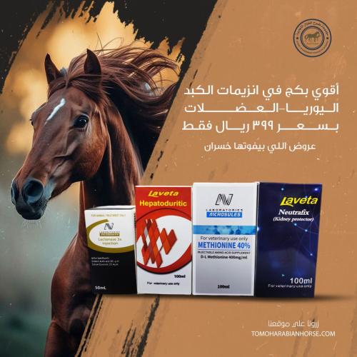 اقوي بكج في انزيمات الكبد اليوريا - العضلات