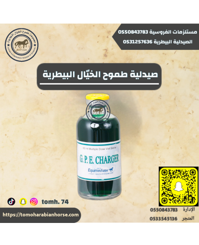 جي بي تشارجر ٦٠مل G P E CHARGER60ml