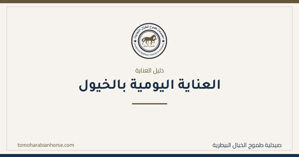 العناية اليومية بالخيول