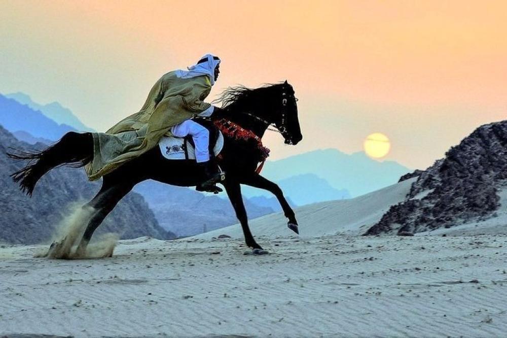سبقات الخيل في المملكة العربية السعودية