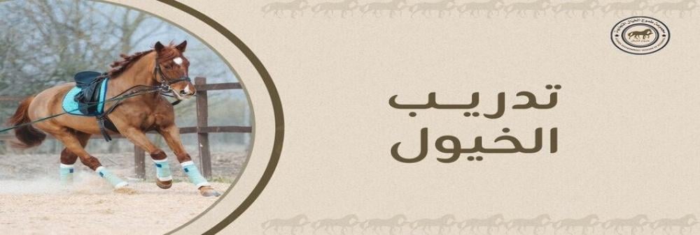 تدريب الخيل