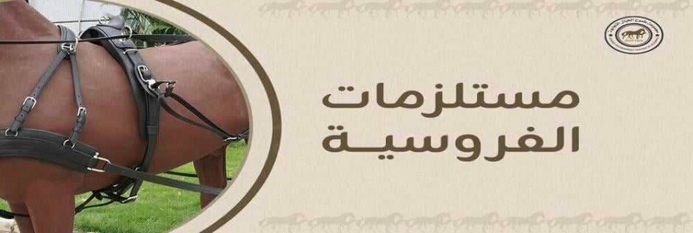 معدات الفروسية