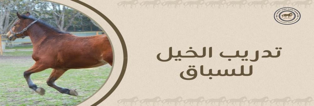 تدريب الخيل للسباق