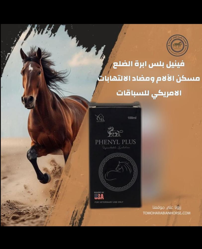 فاينيل بلاس  دكسا ضلع امريكي PHENYL PLUS 100 ml