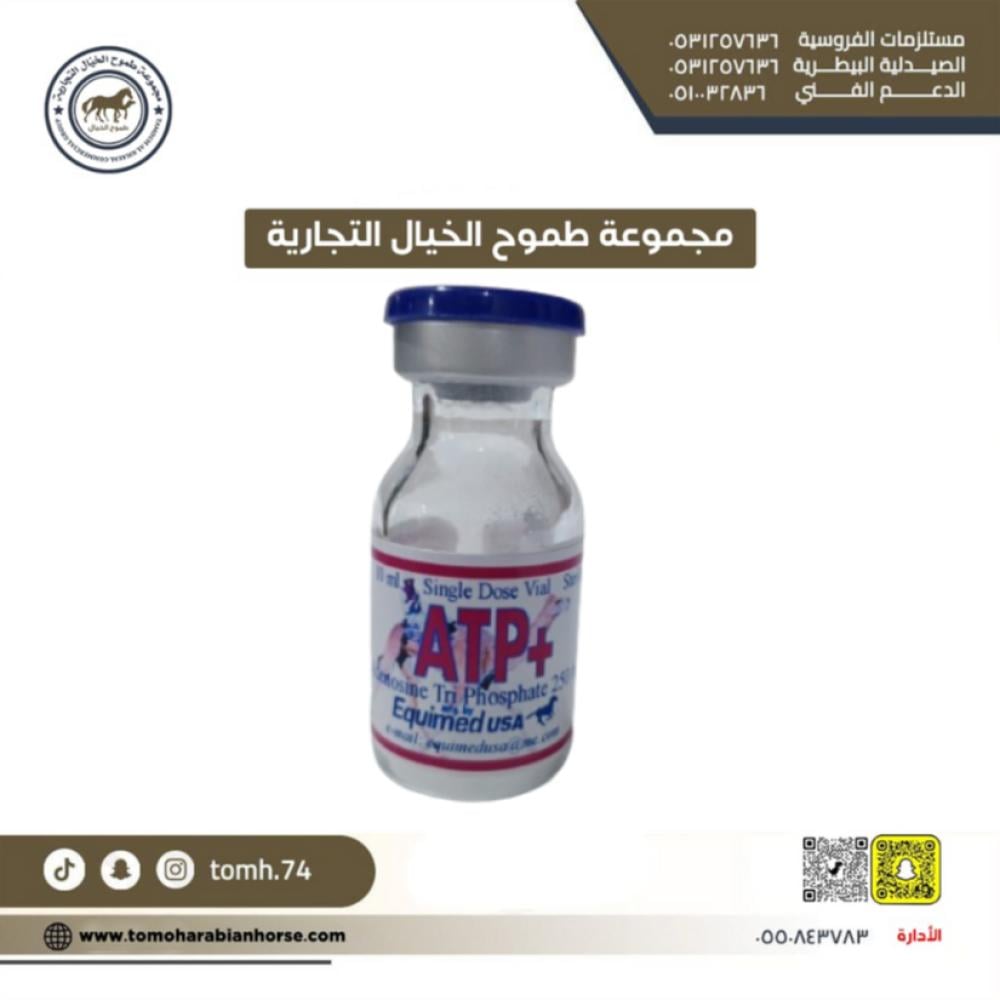 اي تي بي في يساعد تغذية تقلصات العضلات والحفاظ على التمارين