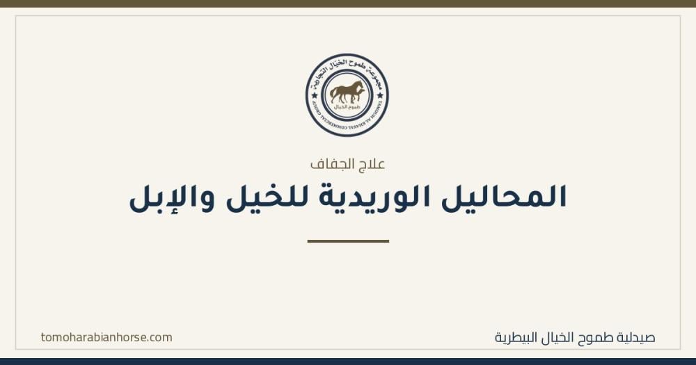 دليل رعاية الهجن الشامل: العناية اليومية والصحة والتغذية