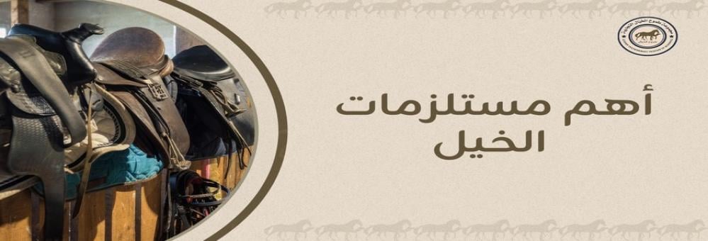 أهم مستلزمات الخيل