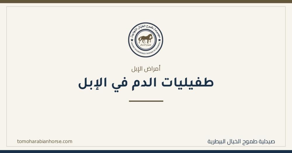 طفيليات الدم في الإبل: «أبو دم» وكيف تنتقل ولماذا تتكرر