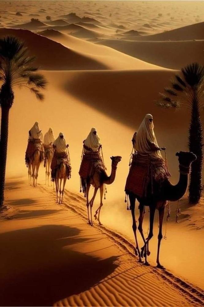 رحلة طموح الخيال