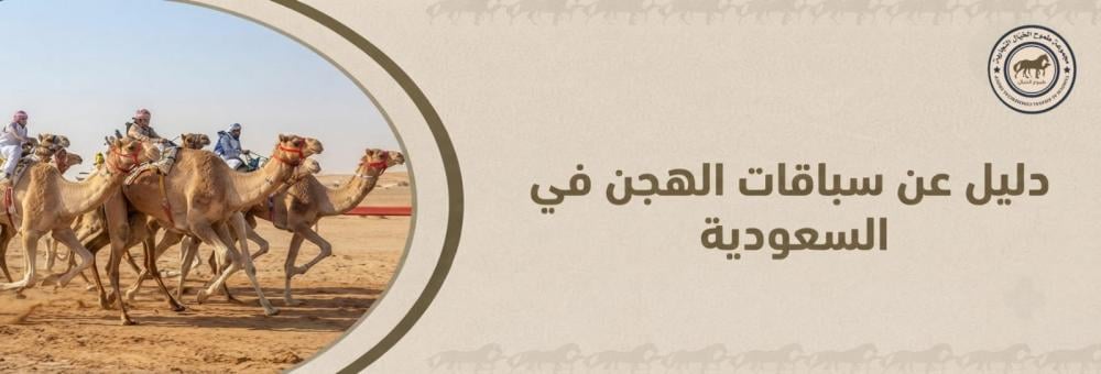 كل ما تريد معرفته عن سباقات الهجن في السعودية
