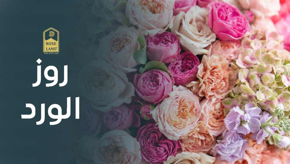 روز الورد أروع تشكيلات وردية بألوان رائعة