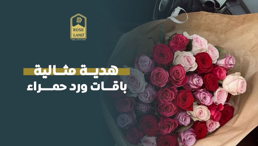 هدية مثالية: باقات ورد حمراء