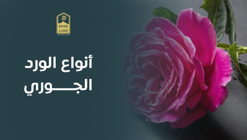 أنواع الورد الجوري