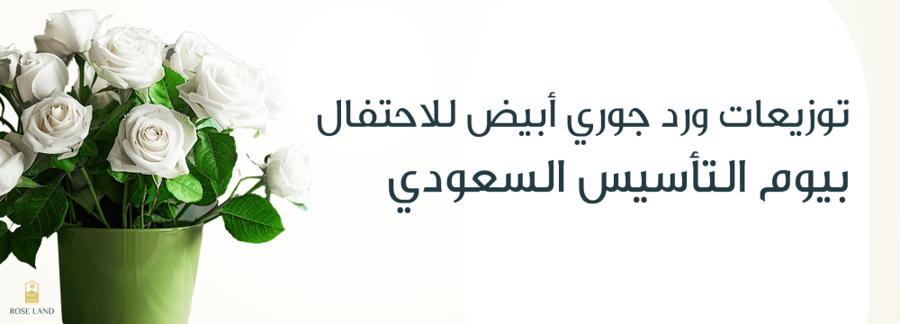توزيعات ورد جوري أبيض للاحتفال بيوم التأسيس السعودي