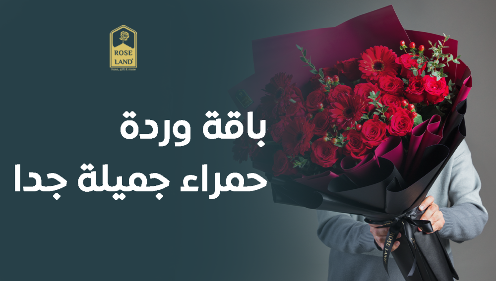 باقة وردة حمراء جميلة جدا