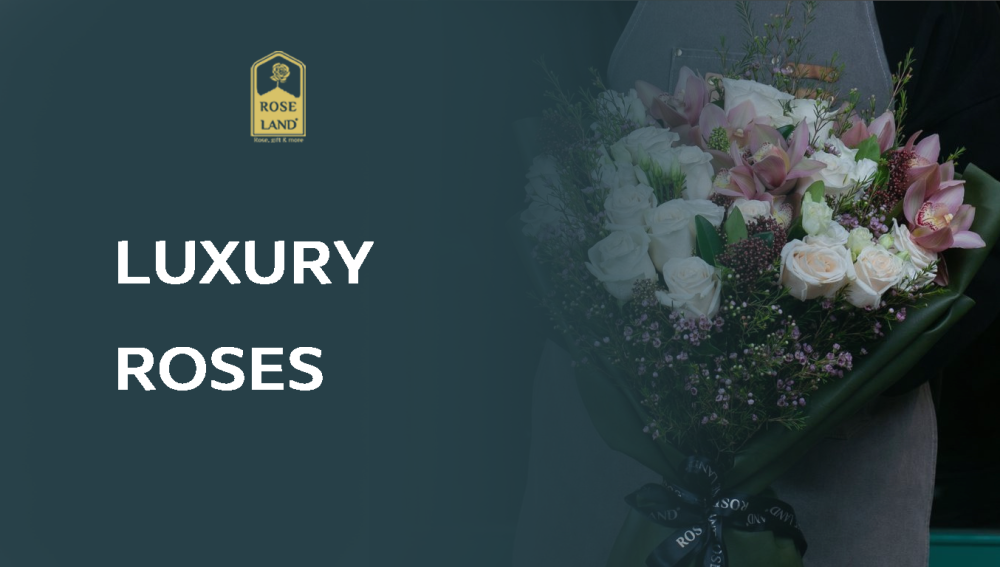 Luxury roses