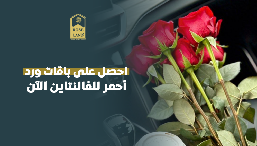 احصل على باقات ورد أحمر للفالنتاين الآن