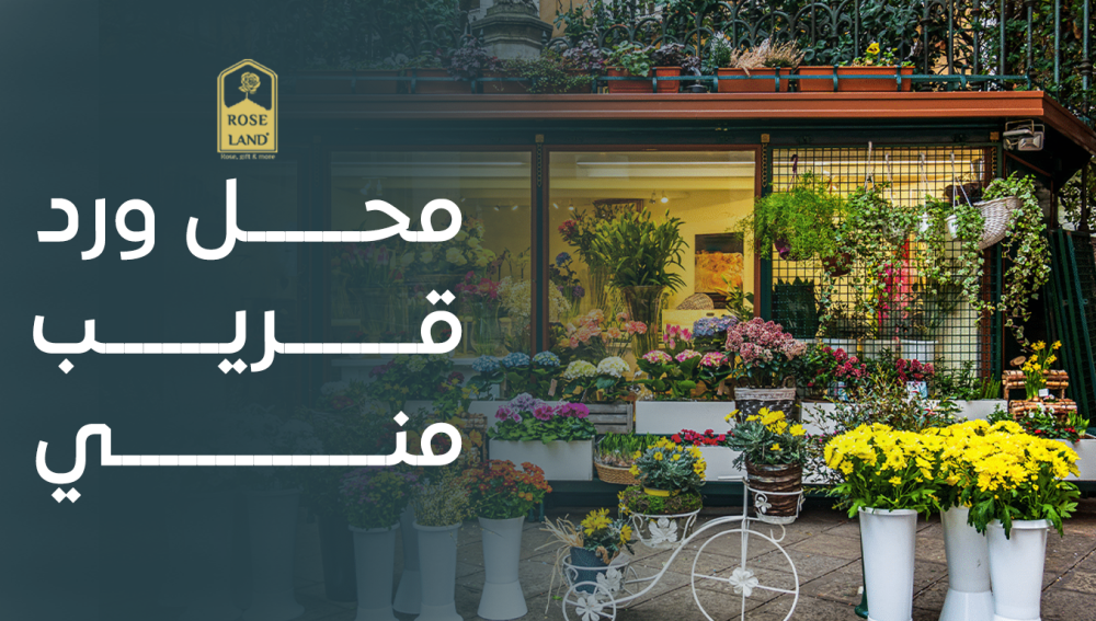 محل ورد قريب مني , أفضل محلات الزهور في منطقتك