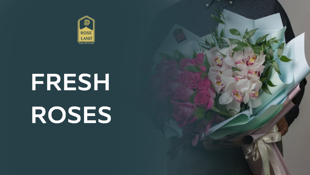 Fresh roses