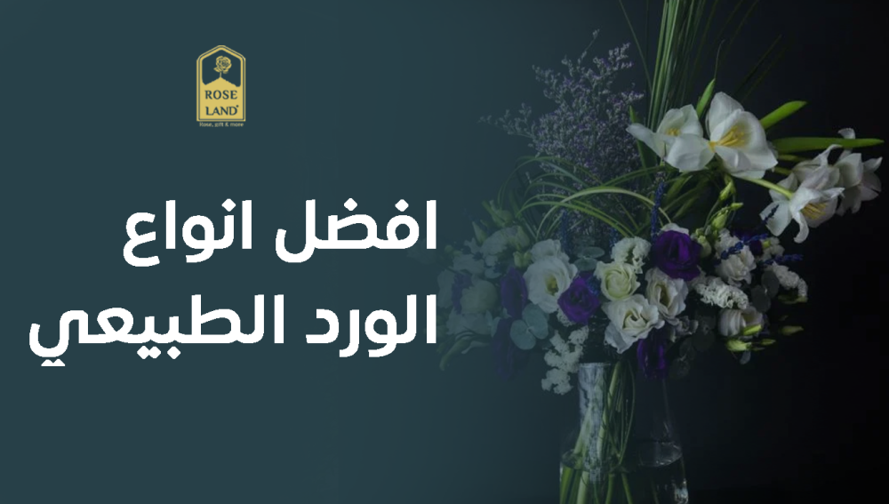 افضل انواع الورد الطبيعي