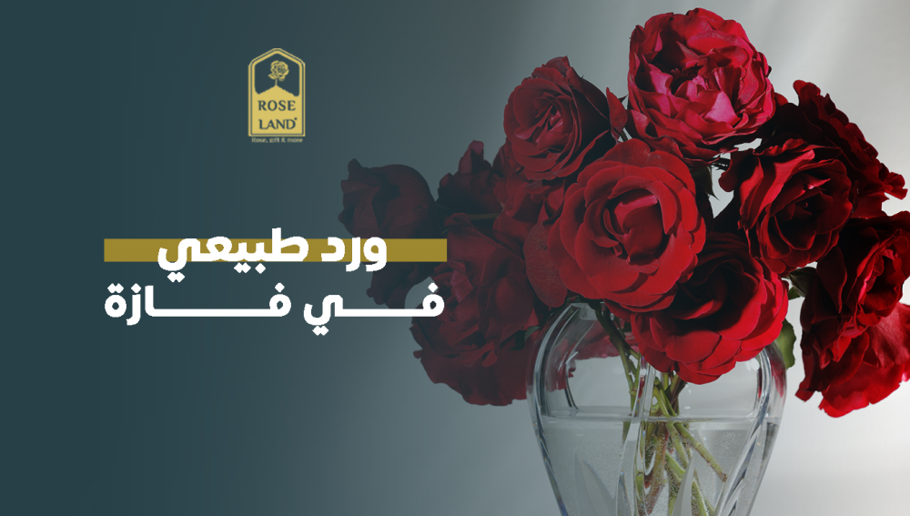ورد طبيعي في فازه