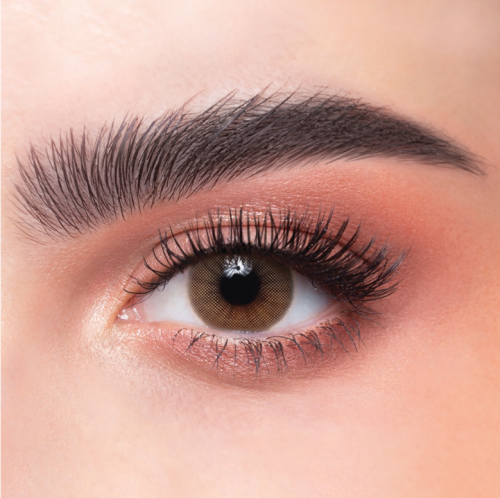 عدسات ذهب يومية - كراميل 21