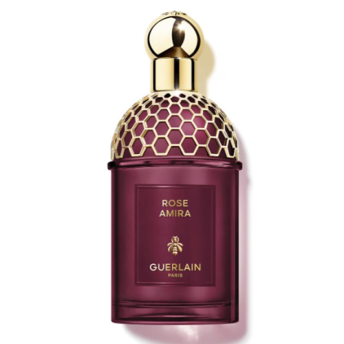 جيرلان ابسولس اليغوريا روز اميرا