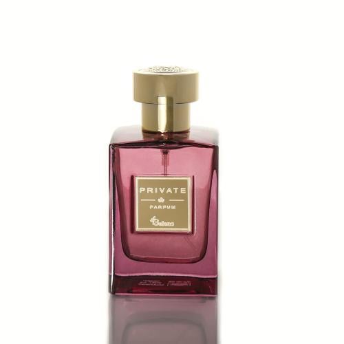 بليزا برايفت