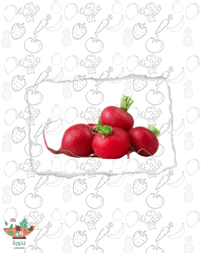 فجل