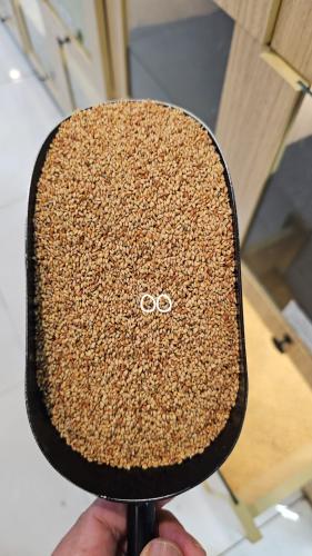 رشاد بلدي بدون رش بدون كيماوي 1 كيلو