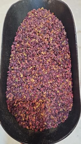 حلبة الخيل 1 كيلو