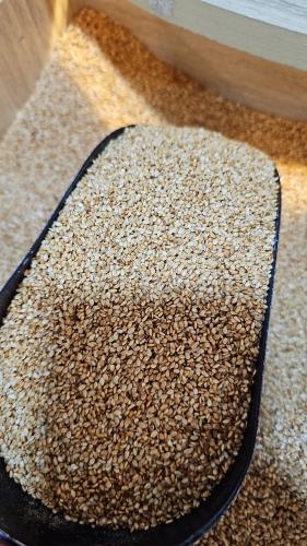 سمسم سوداني 1 كيلو