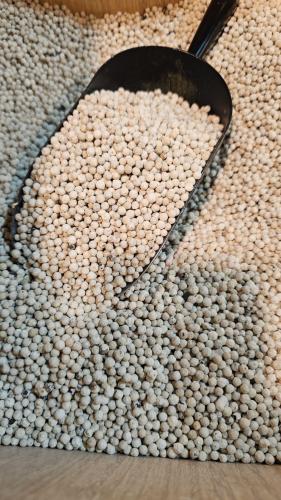 فلفل ابيض درجة أولى فيتنامي 1 كيلو