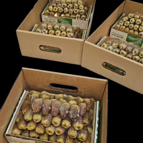 كرتون شيشي هرمي كيلو و800 غرام