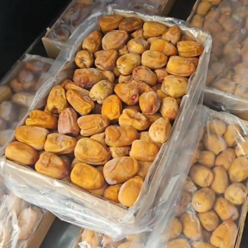 نبتة علي 2 كيلو