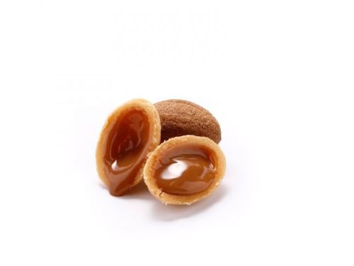 جوزية توفي