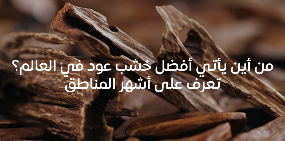 أفضل خشب عود