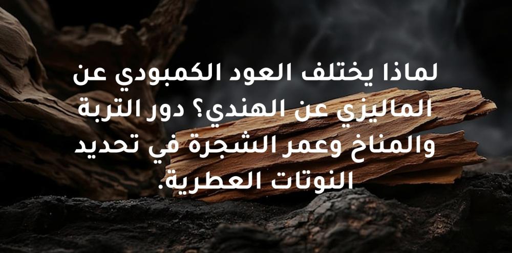 العود الكمبودي