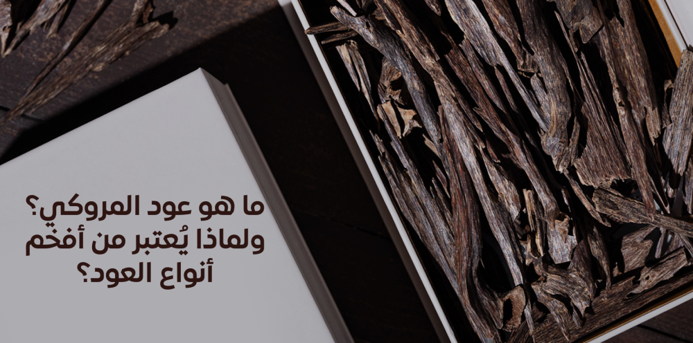 عود مروكي أصلي