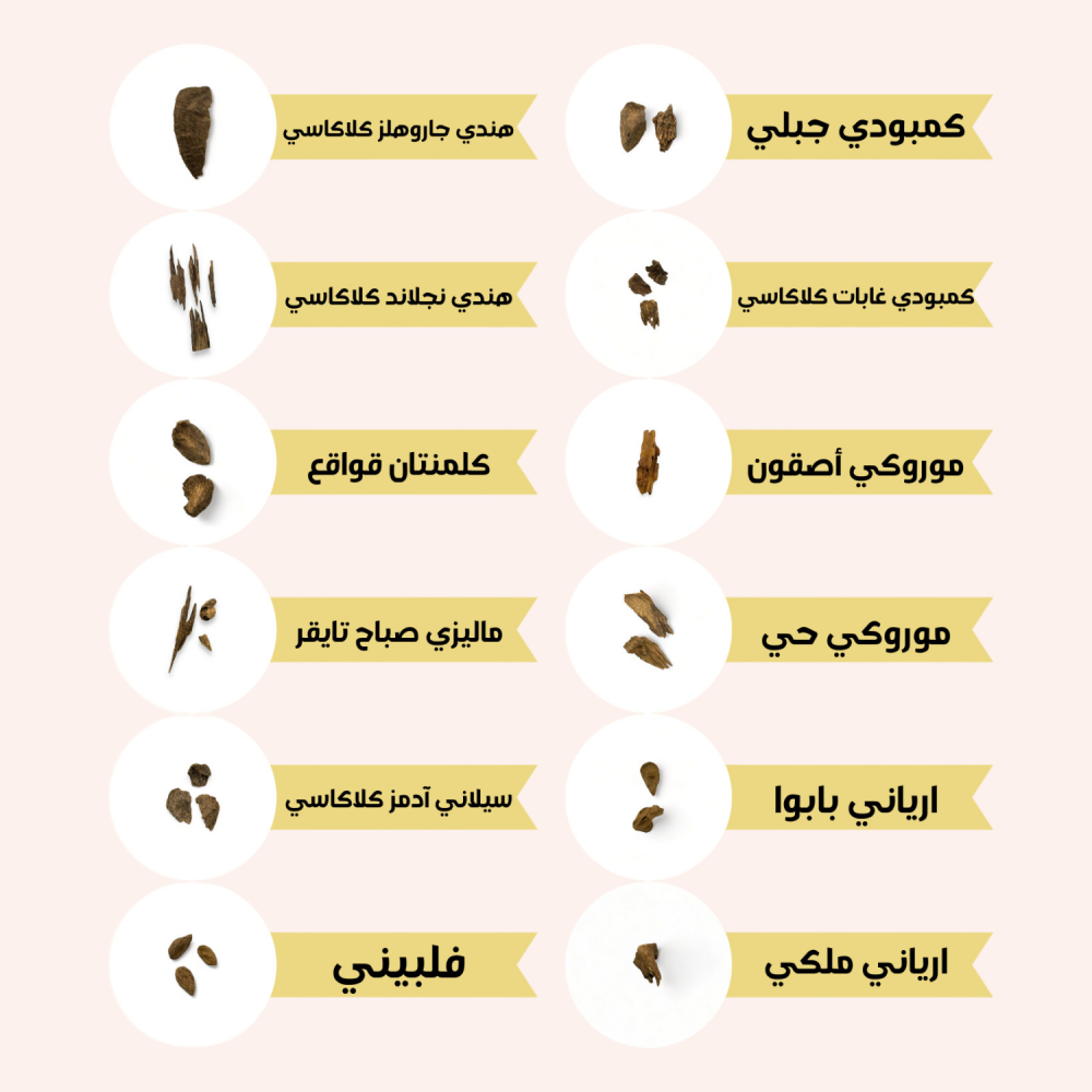 العود الملكي