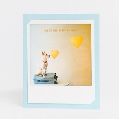 بطاقة بعبارة فرنسية French Card