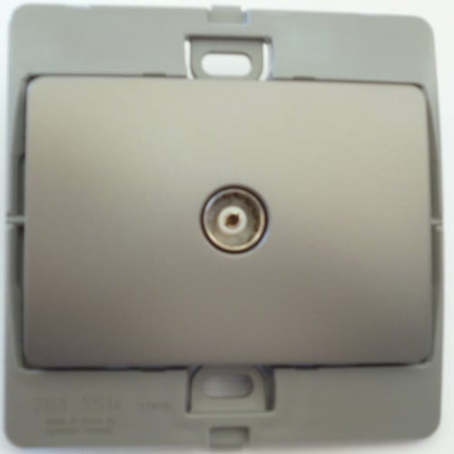 فيش تلفزيون مؤنث