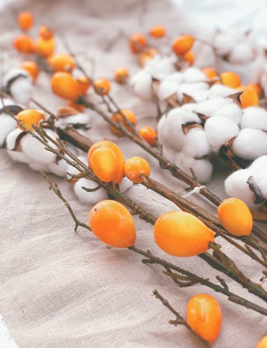 غصن فاكهة البرتقال الذهبي